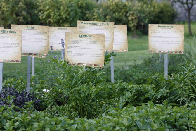 Kräutergarten vom Gurktaler Alpenkräuterlikör